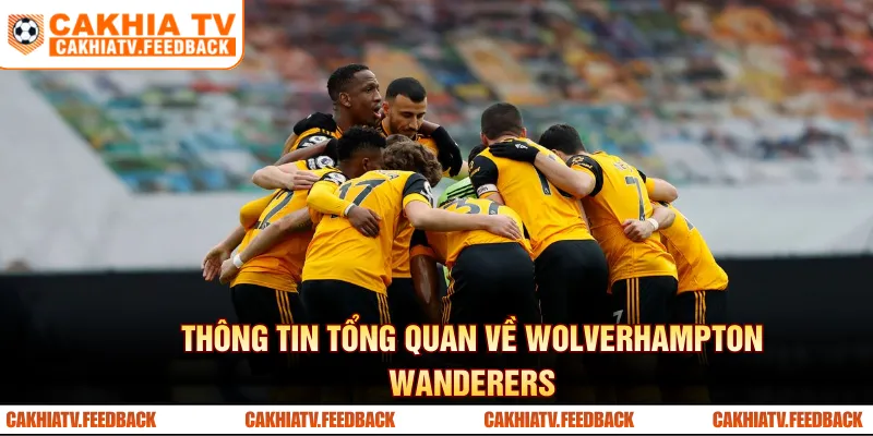 Thông tin tổng quan về Wolverhampton Wanderers